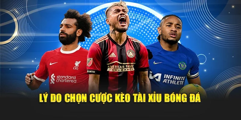 Lý do chọn cược kèo tài xỉu bóng đá
